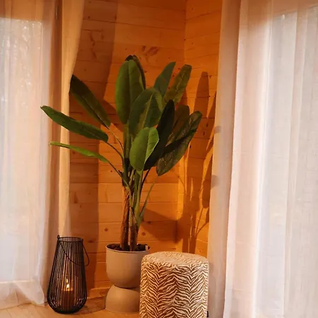 Luxe Houten Wellness Boshuisje Met Hottub * Meijel