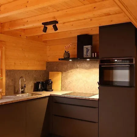 Hébergement de vacances Luxe Houten Wellness Boshuisje Met Hottub *