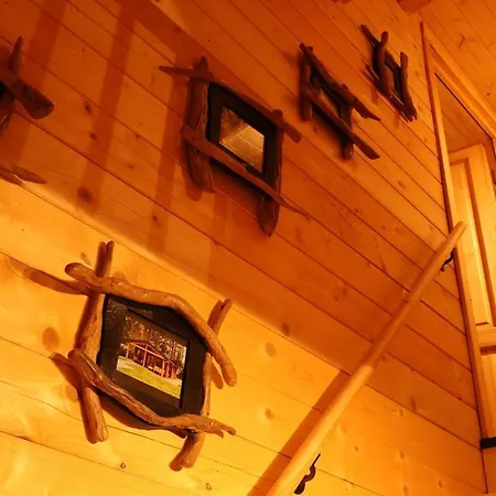Luxe Houten Wellness Boshuisje Met Hottub *