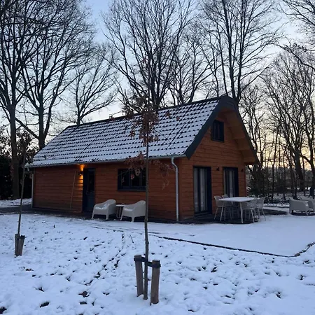 Hébergement de vacances Luxe Houten Wellness Boshuisje Met Hottub