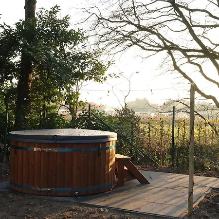 Luxe Houten Wellness Boshuisje Met Hottub * Meijel